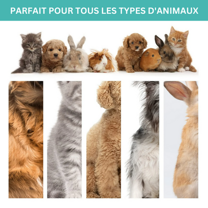 Neabot™ - Kit de Toilettage Professionnel pour Animaux