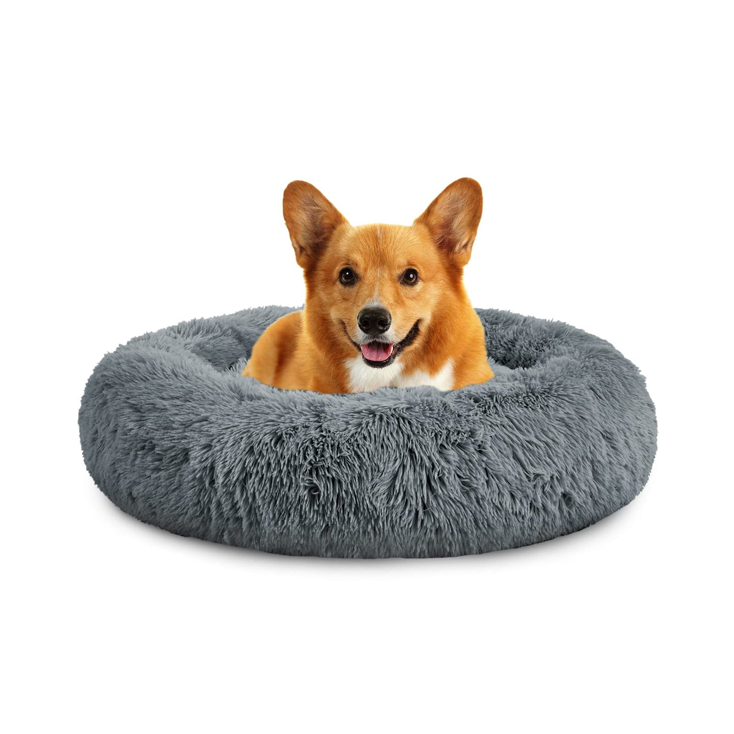 Lit pour chien PlushCloud